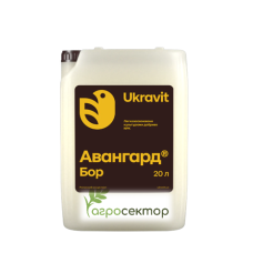 Авангард Бор